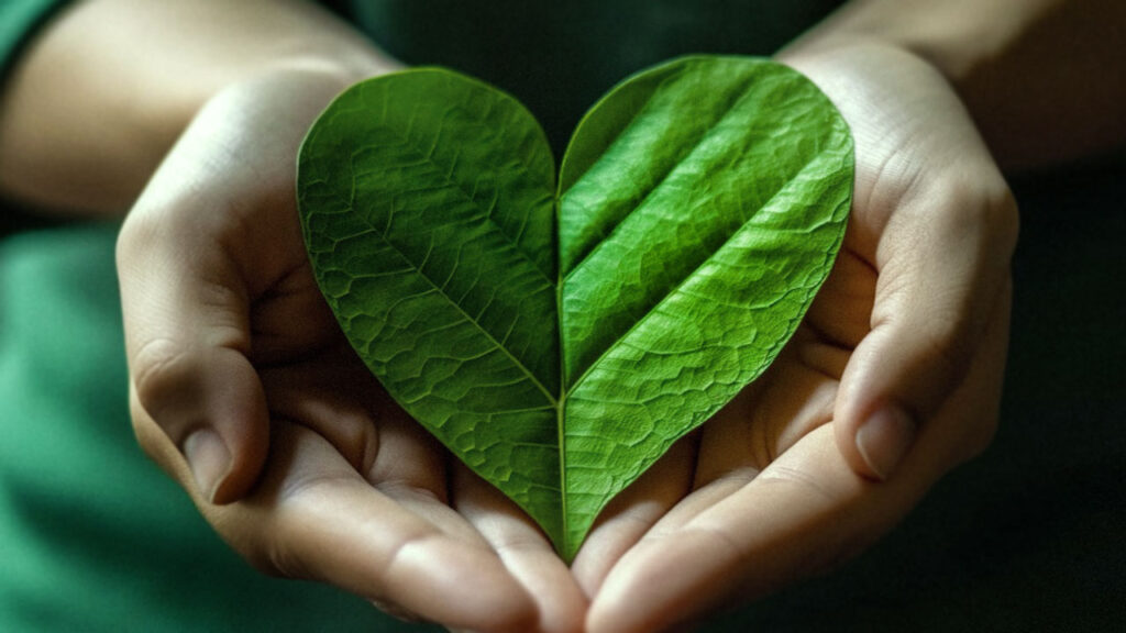 Curso Magia das Ervas-Escola de Magia