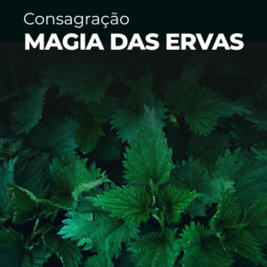 Consagração Magia das Ervas