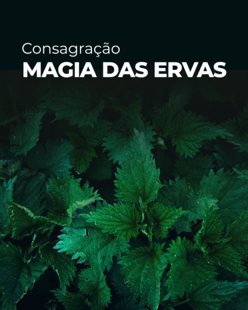 Consagração Magia das Ervas