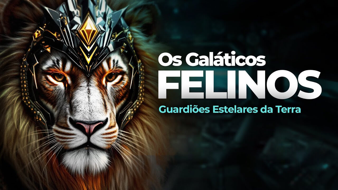 metamagia-2a59a9e6b0b87c08