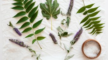 Imagem ilustrativa sobre as ervas sagradas na magia divina.