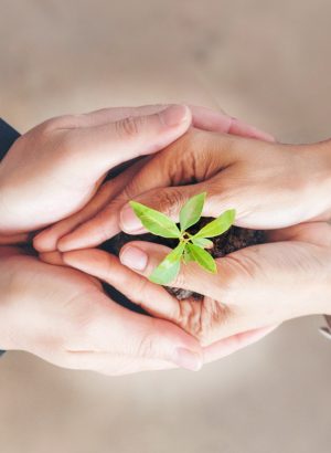 Palestra - Resgatando sua Prosperidade