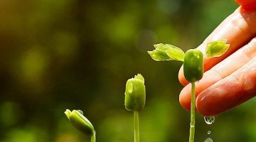 prosperidade oração magia