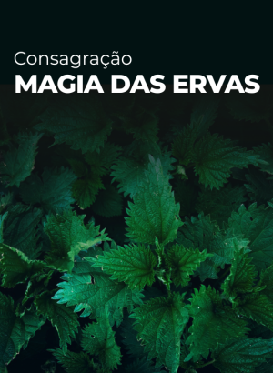 Consagração_Ervas