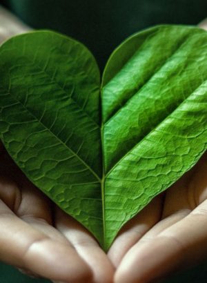 Curso Magia das Ervas-Escola de Magia