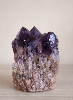 metamagia-a4c34ba5672d8560