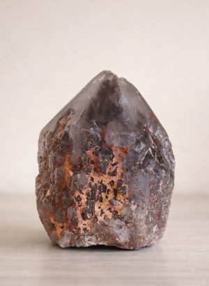 metamagia-f4cb1ce9aa2a9d4e