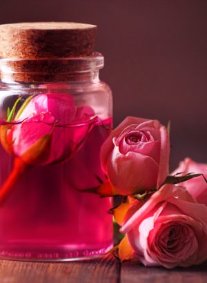 Palestra Magia do Amor